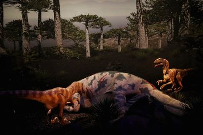 Study suggests dinosaurs may have fed their young ones a special diet to grow faster
