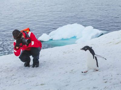 Antarctica's tourism boom raises concerns about contamination and disease