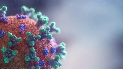 Will There Be a HantaVirus Outbreak? A 2022 Twitter Post Sparks 'Scripted Pandemic' Claims Predicting '2023 Corona Ended, 2026 HantaVirus'