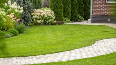 The 30-Minute Lawn Reset Gardeners Swear by in May: For Faster, Healthier Growth Almost Immediately