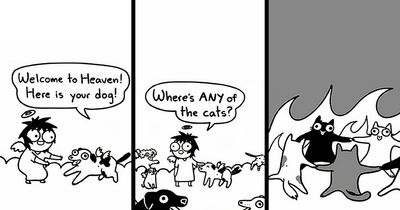 65 Most Popular Sarah Andersen Comics That Perfectly Sum Up Life As An Adult