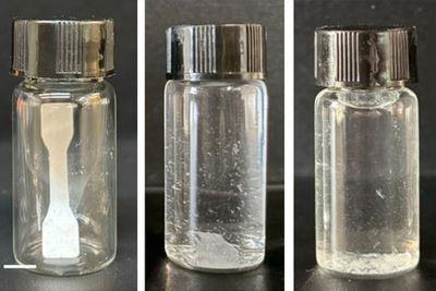 Chinese scientists create self-destructing ‘living plastic’