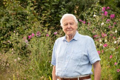 David Attenborough’s 100th birthday marked at Chelsea Flower Show with plants for every decade