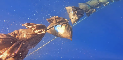 A deep-ocean climate plan wins rare EPA approval, but is sinking plants in the sea the answer?