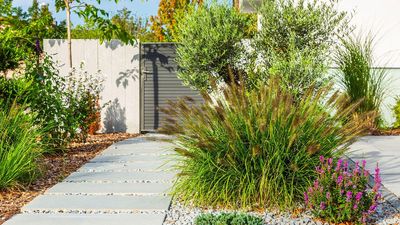 The 10-Minute Garden: Design Rules That Keep Maintenance To A Bare Minimum
