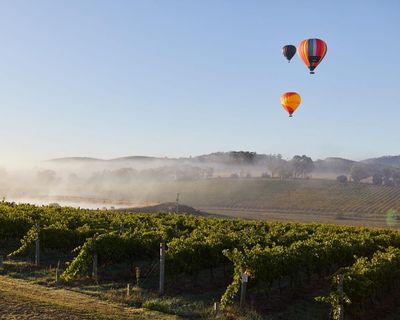 From vine to brine: the ultimate culinary escape across southern Australia