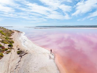 Blue mountains, pink lakes and a Kangaroo island: an unforgettable Australian nature trip