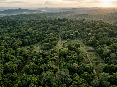 A hidden city grid is emerging beneath tropical forests as laser scans expose roads, terraces, and ancient platforms