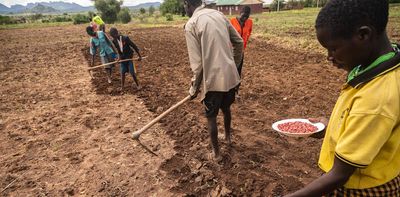 Millions of farmers in Africa’s Great Lakes region face rising temperatures. Study predicts how crop disease and pests could spread