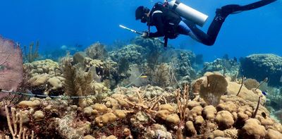 Many of the Caribbean’s most important reefs are going unprotected