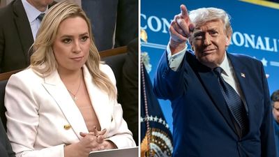 ‘LIE, LIE, LIE, AND LIE AGAIN’: Trump melts down over Fox’s Jacqui Heinrich after she let a Democrat call him an Epstein enabler on live TV