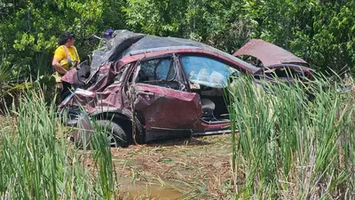 Texas man hit by Amtrack train. The driver’s attempt to help thwarted four alligators