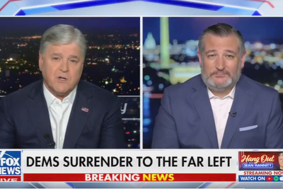 Ted Cruz calls AOC a ‘parasite’ for taking government money – just like he does
