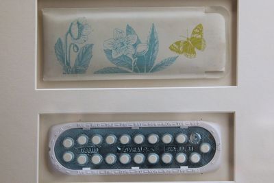 By changing women's lives, the pill changed the nation