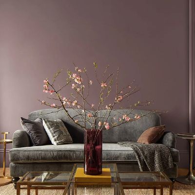 Benjamin Moore Coupon Codes - for May 2026