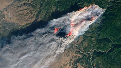 Thousands of deaths per year caused by invisible wildfire pollutant, satellite data shows