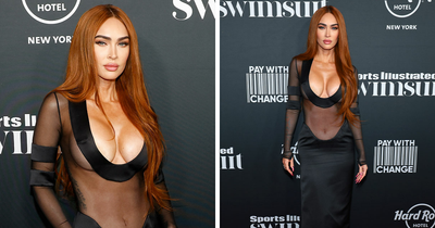 Scrutiny Over Megan Fox’s Past Appearance In Ultra Revealing Dress As Many Slam Plastic Surgery