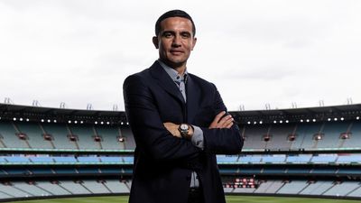 Socceroos great Cahill in line to net top FA role