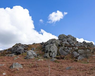 Country diary: Taking the tough route to a hilltop view