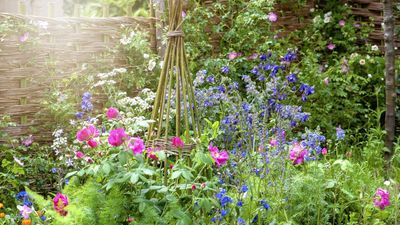 The Best Natural Supports for Tall Perennials – Sustainable Stakes That Look Good in Borders