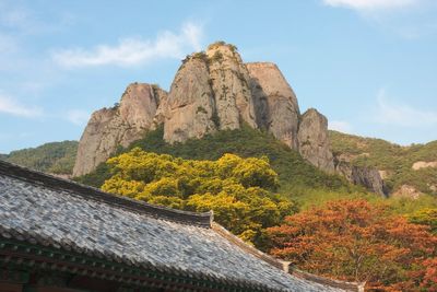 Missing 11-year-old found dead near South Korean mountain peak