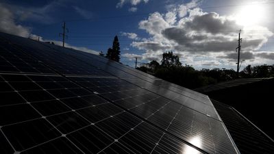 Budget lacks energy for big renewable project reforms