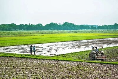 Gulf shipping standoff hits world’s most vulnerable farmers