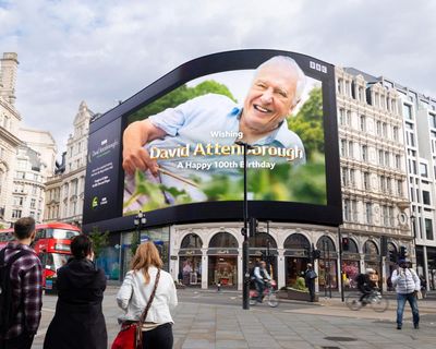 David Attenborough is not just a national treasure: he is also the most radical person on TV