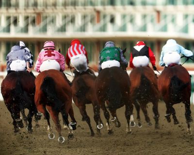 Racing need not fear Green party ‘conversation’ but must continue efforts on horse welfare