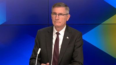 Australia trades 'constructively' with China but relies on diverse partnerships, ambassador says