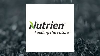 Nutrien Q1 Earnings Call Highlights