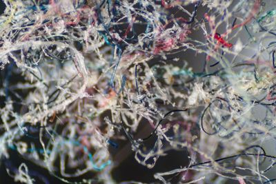 ‘You have to be where the pollution is’: the inventor hoping to fix your washing machine to stop microplastics