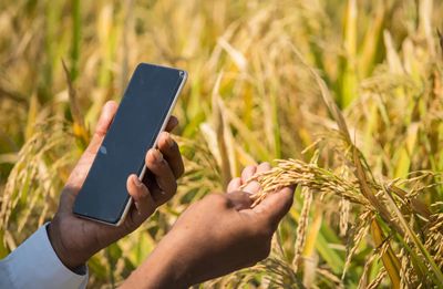 Bayer strengthens its phygital connect with Indian farmers as FarmRise app reaches 5 million users