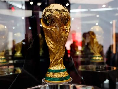 Delhi HC seeks Centre's stand on plea for FIFA World Cup broadcast