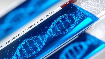 Researchers use AI to break the rules of nature and create a living organism that lacks a fundamental building block of life – the first synthetic 19-amino acid life form is here