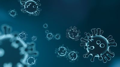 How Sepsis Develops From Infection and the Signs That Require Urgent Treatment