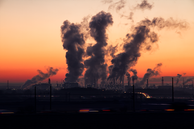How Air Pollution and Particulates Cause Inflammation and Damage Your Lungs, Heart, and Brain