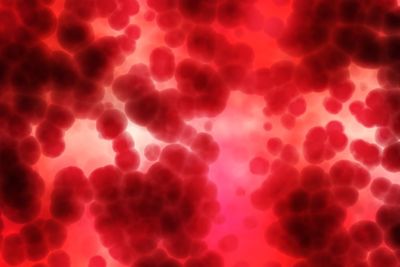 Engineered Blood Clots Stop Severe Bleeding in Seconds Using Synthetic Particles