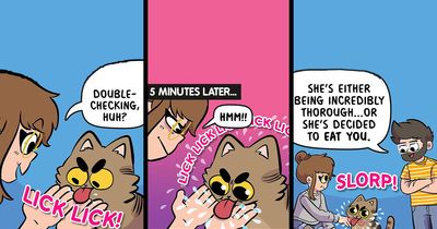 50 New Comics By Sarah Graley That Show The Funny Side Of Love And Living With Cats