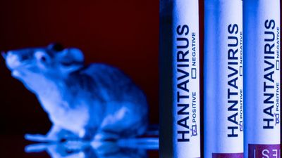 France says hantavirus outbreak ‘under control’ as infection remains isolated