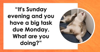 “What’s Really Behind Your Procrastination?”: These 27 Questions Have The Answer