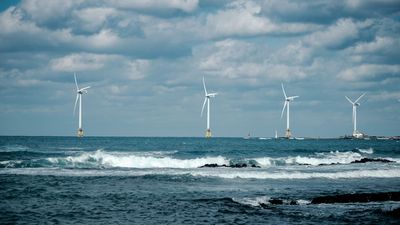 'We're buzzing': Octopus Energy is giving away more free electricity to its 8 million customers — and it could stop the UK wasting £1.5 billion to shut down wind farms