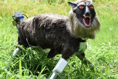 Why this Japanese manufacturer is swamped with orders for ‘Monster Wolf’ robot