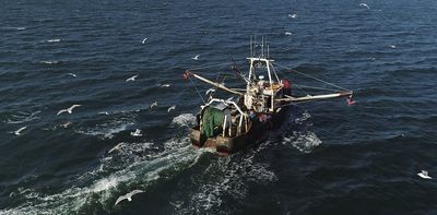 Bottom trawling is scraping oceans of wildlife