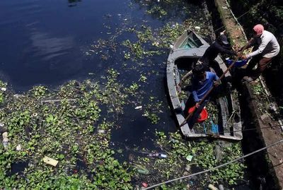 Scientists just found a smelly algae that eats microplastics, and it could save your drinking water