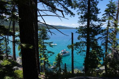 Lake Tahoe’s major energy source is being diverted to power AI data centers