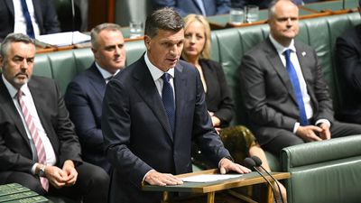 Tax, migration and NDIS in coalition's economic sights