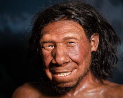 Neanderthals used stone drills to treat cavities 59,000 years ago, tooth suggests