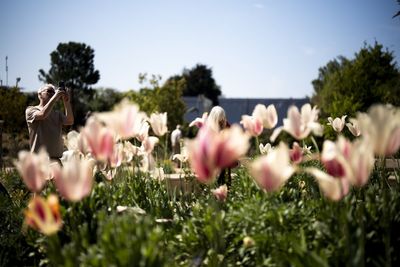 Temperatures could climb into mid-20s by bank holiday weekend, says Met Office