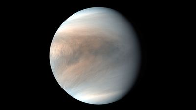 30-mile-high clouds of acid on Venus are made by the largest 'hydraulic jump' in the solar system